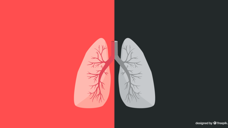Graphic of a pair of lungs against a red/black background
