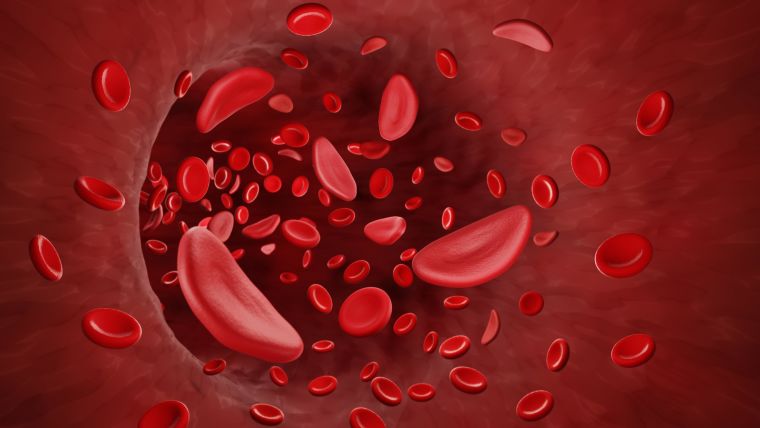 a dark background with flattened red blood cells swirling around the interior of a blood vessel