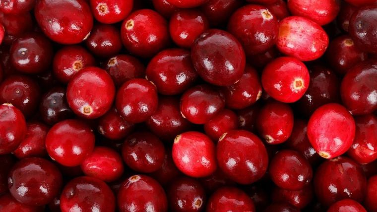 close up of lots of cranberries